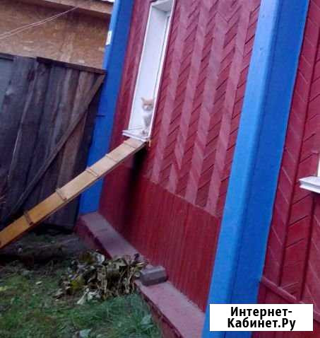 Дом 37 м² на участке 5 сот. на продажу в Новоалтайске Новоалтайск - изображение 1