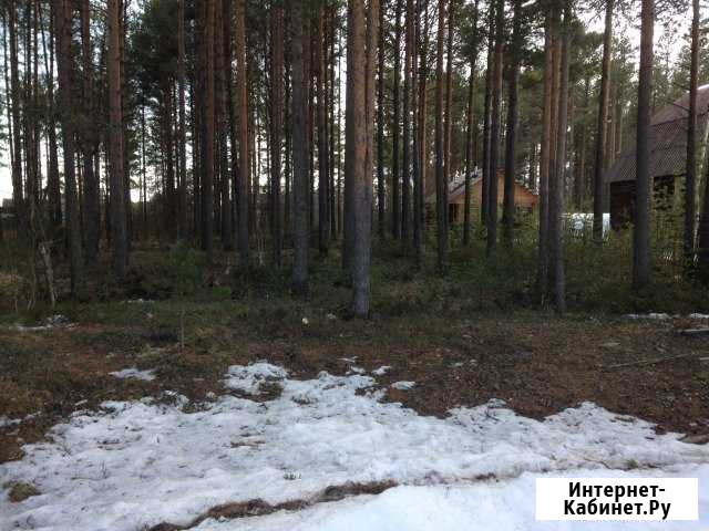 Участок ИЖС 13 сот. на продажу в Петрозаводске Петрозаводск - изображение 1