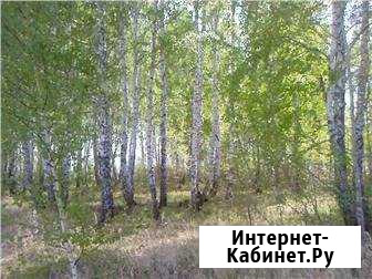 Участок СНТ, ДНП 240 сот. на продажу в Коченево Коченево - изображение 1