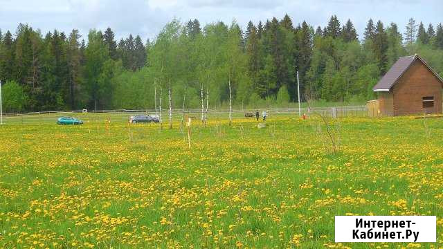 Участок СНТ, ДНП 10 сот. на продажу в Гостилицах Гостилицы - изображение 1