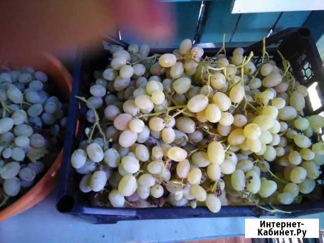 Дача 50 м² на участке 4 сот. на продажу в Тольятти Тольятти - изображение 1