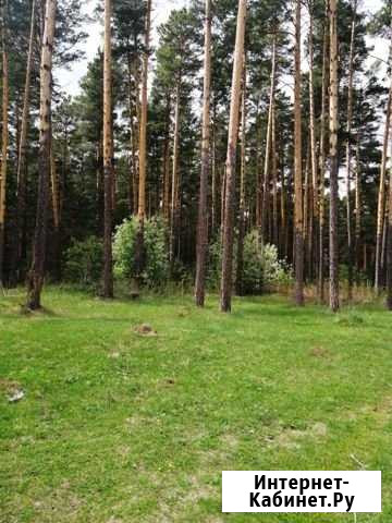 Участок ИЖС 19 сот. на продажу в Назарово Назарово - изображение 1