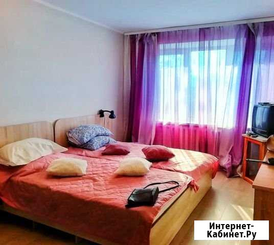 1-комнатная квартира, 45 м², 2/4 эт. в аренду посуточно в Кисловодске Кисловодск - изображение 1