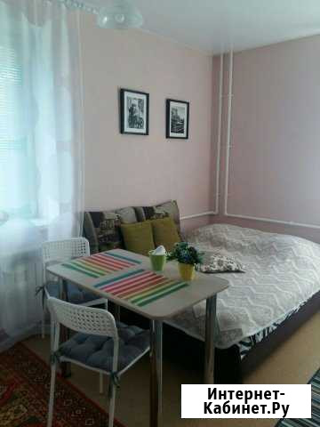 Квартира-студия, 24 м², 1/3 эт. в аренду посуточно в Камышине Камышин - изображение 1
