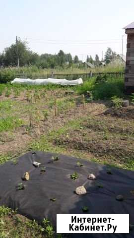 Дача 20 м² на участке 6 сот. на продажу в Каргасоке Каргасок - изображение 1
