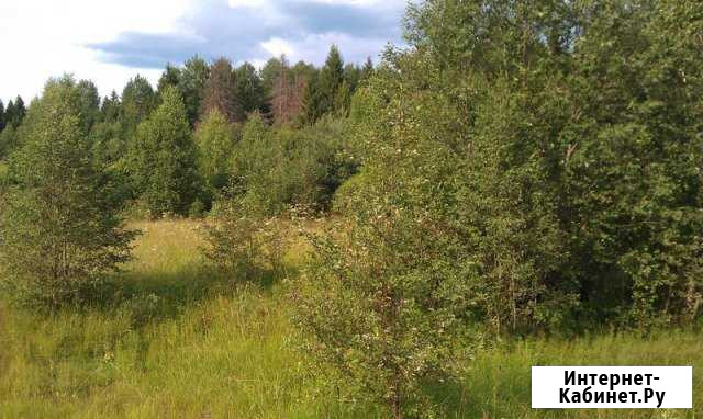 Участок СНТ, ДНП 455 сот. на продажу в Конаково Конаково - изображение 1