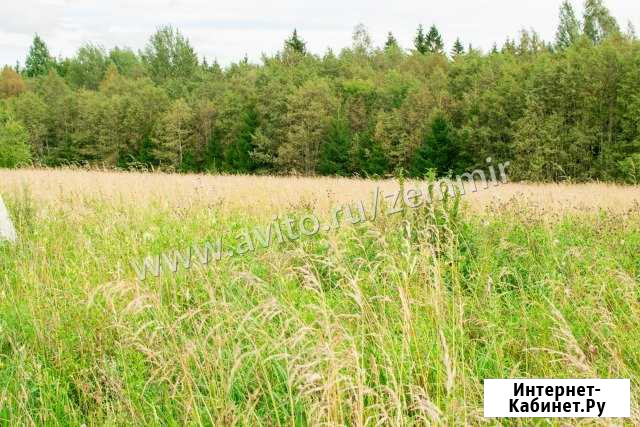 Участок СНТ, ДНП 10 сот. на продажу в Назие Назия - изображение 1