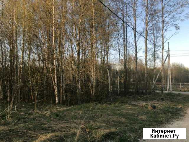 Участок СНТ, ДНП 1425 сот. на продажу в Сосновом Бору Сосновый Бор - изображение 1