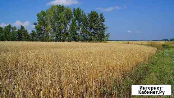 Участок СНТ, ДНП 245 сот. на продажу в Бронницах Бронницы