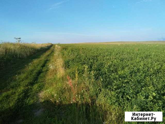 Участок СНТ, ДНП 12 сот. на продажу в Култаево Култаево - изображение 1