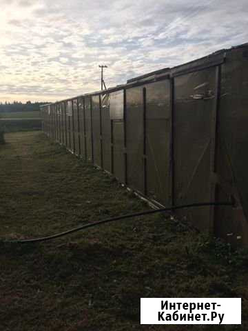 Участок СНТ, ДНП 300 сот. в аренду в Жабино Жабино - изображение 1
