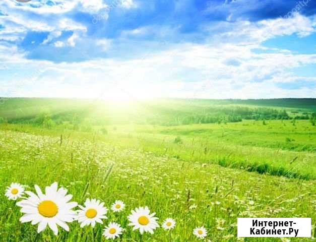 Участок ИЖС 6 сот. на продажу в Южном Краснодарского края Южный - изображение 1