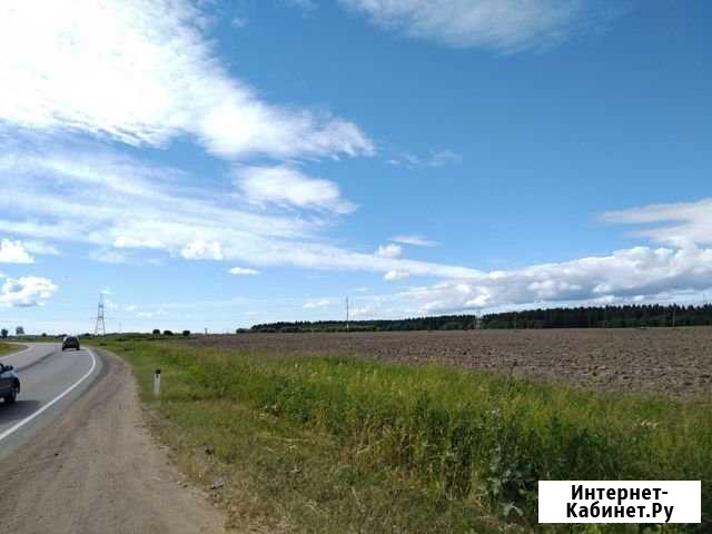 Участок СНТ, ДНП 100 сот. на продажу в Русско-Высоцком Русско-Высоцкое - изображение 1