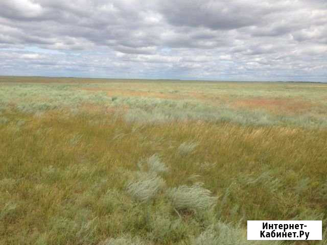 Участок СНТ, ДНП 38500 сот. на продажу в Палласовке Палласовка - изображение 1
