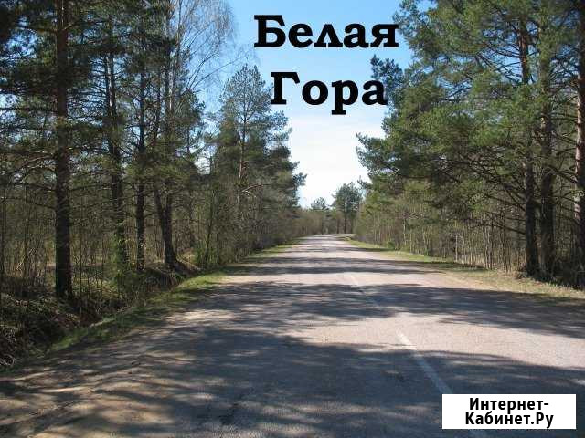 Участок ИЖС 21 сот. на продажу в Великом Новгороде Великий Новгород - изображение 1