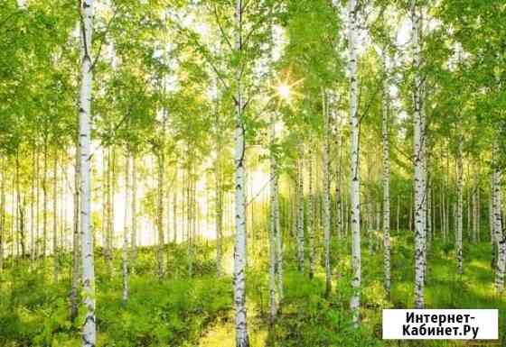 Участок СНТ, ДНП 17 сот. на продажу в Перми Пермь