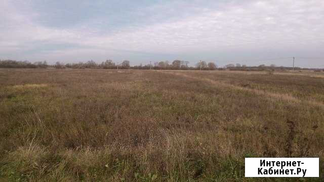Участок ИЖС 520 сот. на продажу в Великом Новгороде Великий Новгород - изображение 1