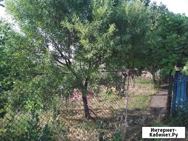 Дом 72 м² на участке 247 сот. на продажу в Старовеличковской Старовеличковская - изображение 1