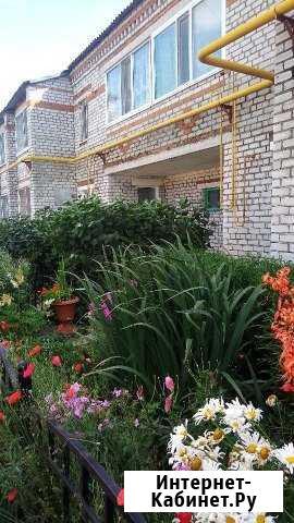 2-комнатная квартира, 46 м², 1/2 эт. на продажу в Бердюжье Бердюжье - изображение 1