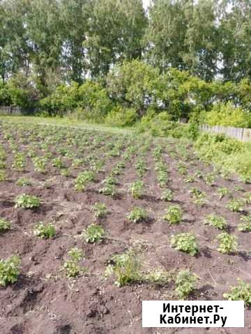 Участок СНТ, ДНП 9 сот. на продажу в Ачинске Ачинск - изображение 1