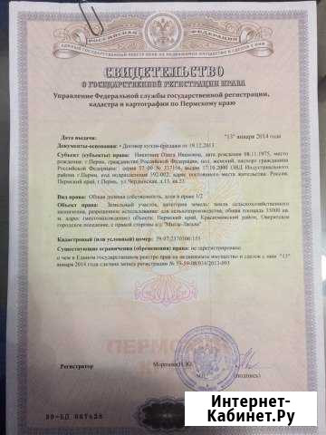 Участок СНТ, ДНП 10 сот. на продажу в Перми Пермь - изображение 1