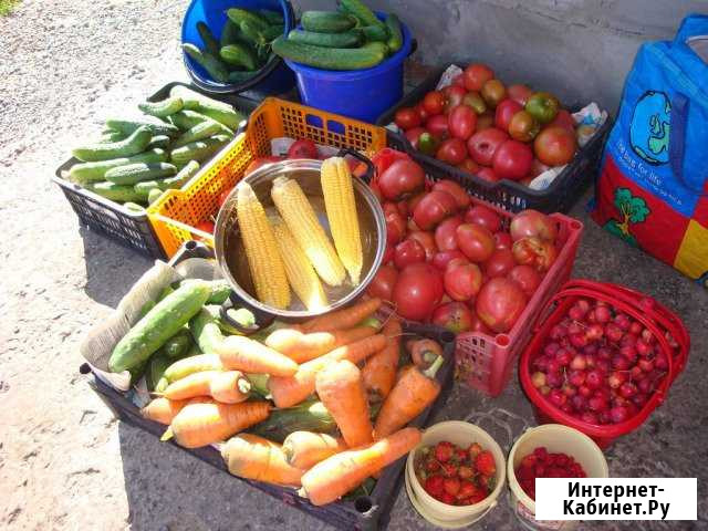 Дом 80 м² на участке 21 сот. на продажу в Копейске Копейск - изображение 1
