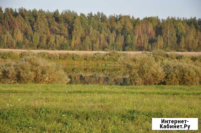 Участок СНТ, ДНП 11 сот. на продажу в Палкино Палкино - изображение 1