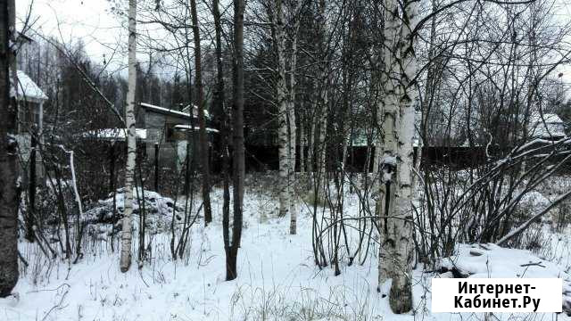 Участок СНТ, ДНП 6 сот. на продажу в Электрогорске Электрогорск - изображение 1