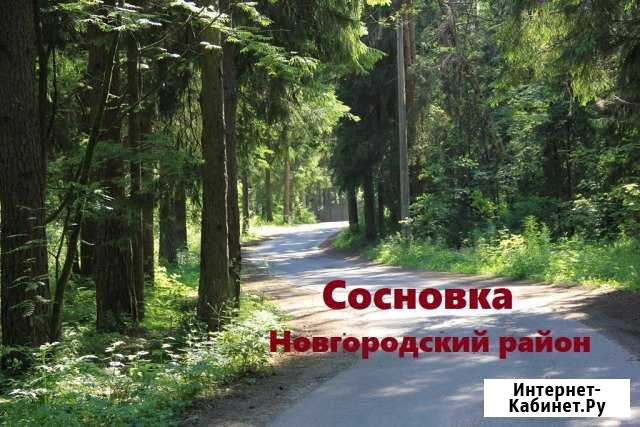 Участок ИЖС 29 сот. на продажу в Великом Новгороде Великий Новгород - изображение 1