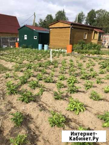 Дача 20 м² на участке 6 сот. на продажу в Молочном Мурманской области Молочный - изображение 1