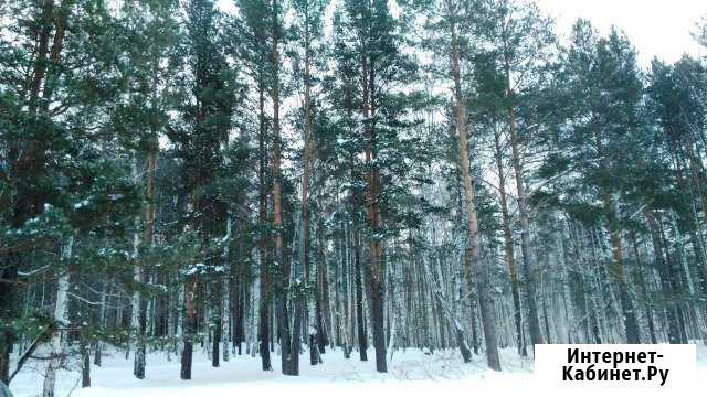 Участок ИЖС 20 сот. на продажу в Верхнем Уфалее Верхний Уфалей - изображение 1