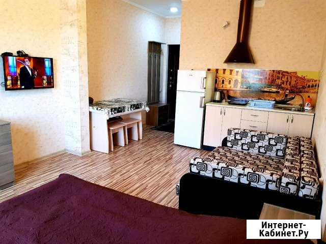 Квартира-студия, 23 м², 1/2 эт. в аренду на длительный срок в Сочи Сочи - изображение 1