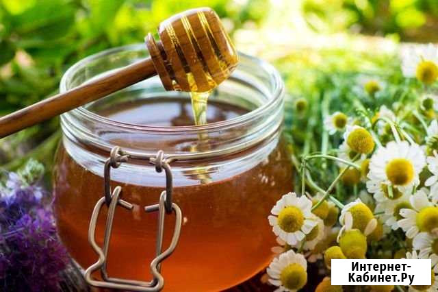 Мед натуральный.вкусняшка Нижний Новгород - изображение 1
