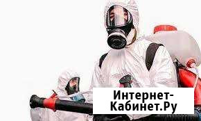 Санобработка Тольятти - изображение 1