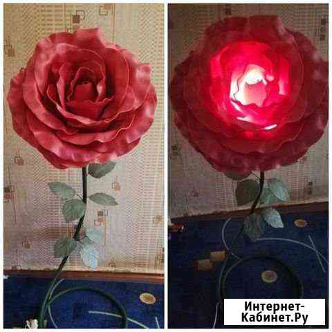 Ростовые цветы Каменск-Шахтинский