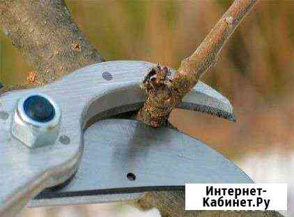 Обрезка сада и озеленение Краснодар