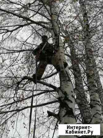 Спил,вывоз деревьев и веток/покос травы Курск