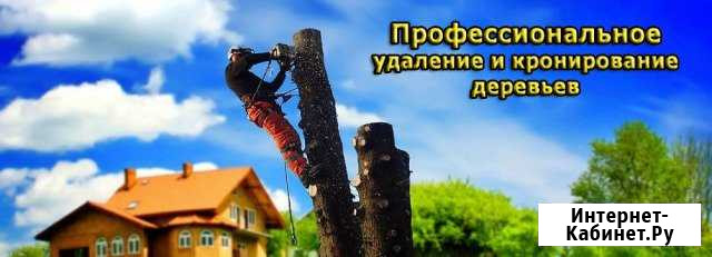 Валка и обрезка деревьев, расчистка участков Туапсе - изображение 1