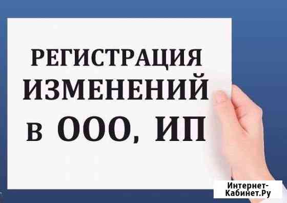 Внесем изменения в данные об ооо и ип под ключ Благовещенск