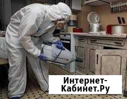 Дезинceкция(клопы,тараканы) Дзержинск - изображение 1