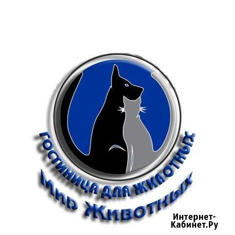 Передержка кошек, грызунов, птиц Рязань - изображение 1