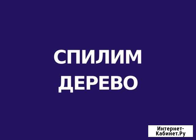 Спиливаем деревья Канск - изображение 1