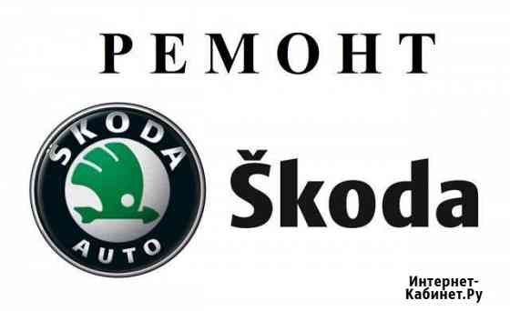 Ремонт skoda Орёл