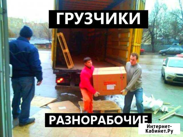 Грузчики Новосибирск - изображение 1