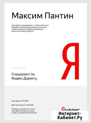 Директолог. Контекстная реклама Яндекс и Google Санкт-Петербург - изображение 1