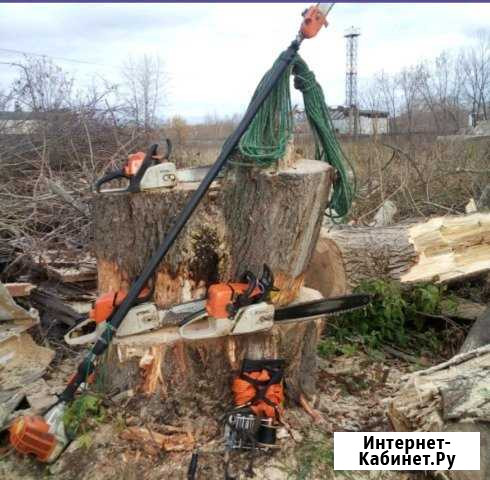 Спил, Кронирование деревьев Пермь - изображение 1