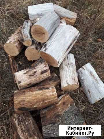 Дрова дубовые Саратов - изображение 1