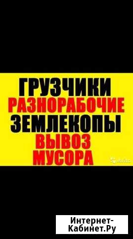 Грузчики,разнорабочие,землекопы,вывоз мусора Новосибирск - изображение 1