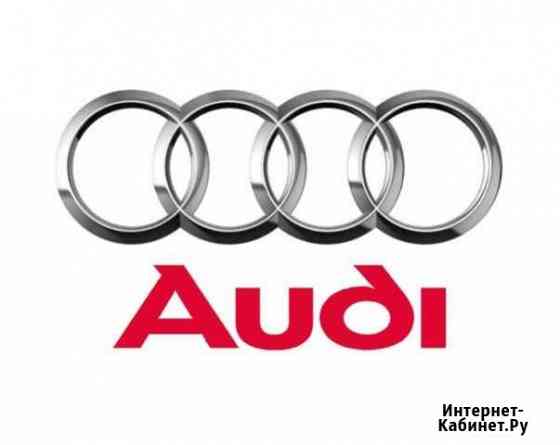 Выездная диагностика Audi, VW, Skoda Кудрово