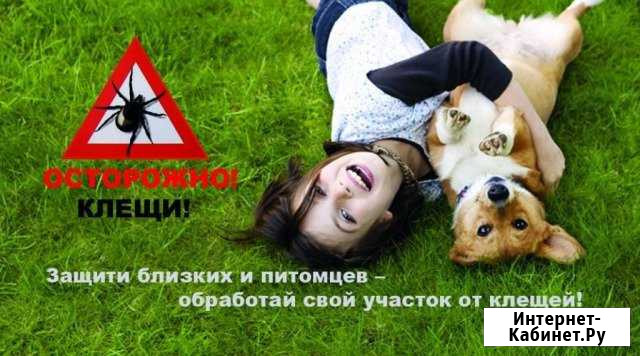 Обработка от клещей, грызунов, насекомых Липецк - изображение 1